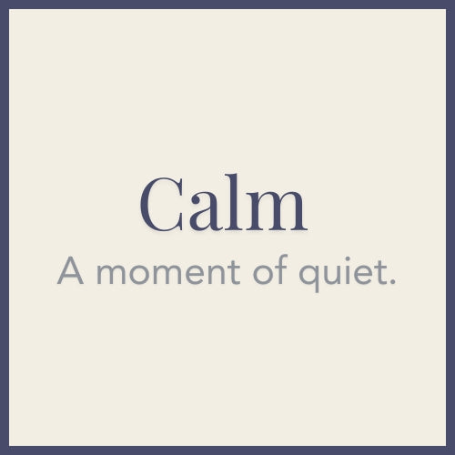 stonz-lab-world-first-animal-shaped-worry-stone-cover